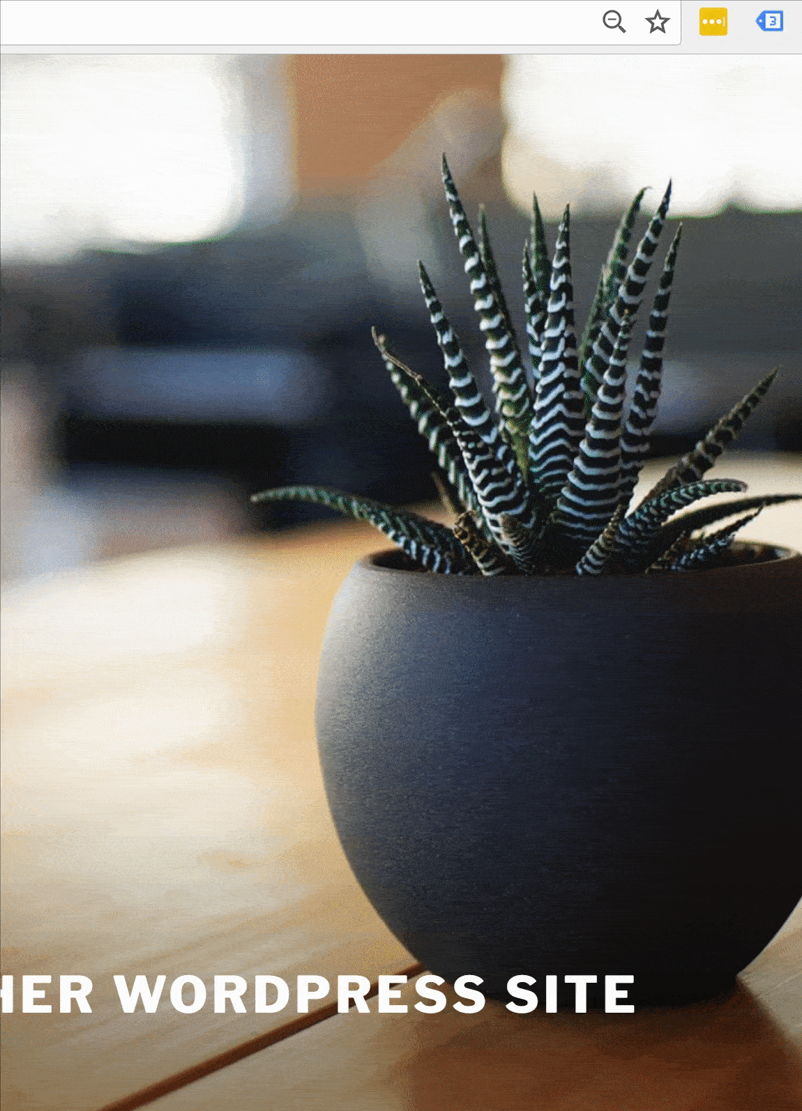 Google Tag Assistant extension showing the Record button